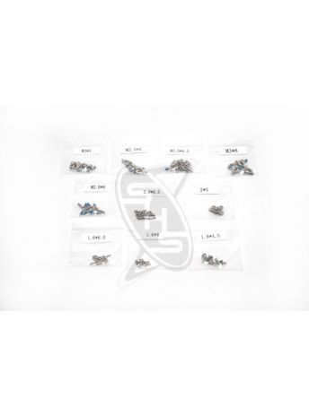DJI Phantom 2 Vision Screws Pack (Part No. 21)