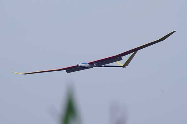 OK MODEL 11310 Pilot Hibiscus Basic - Image 5