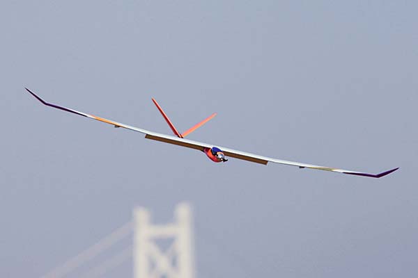 PILOT Chamomile 2 - 1.91m ARF Glider (Basic) - Image 3