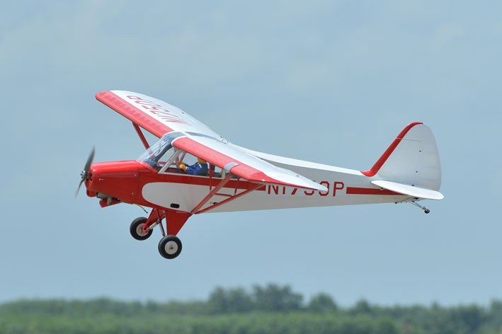 PHOENIX MODEL Super Cub PA-18 Scale 1:4 Size 30cc ARF - Image 7