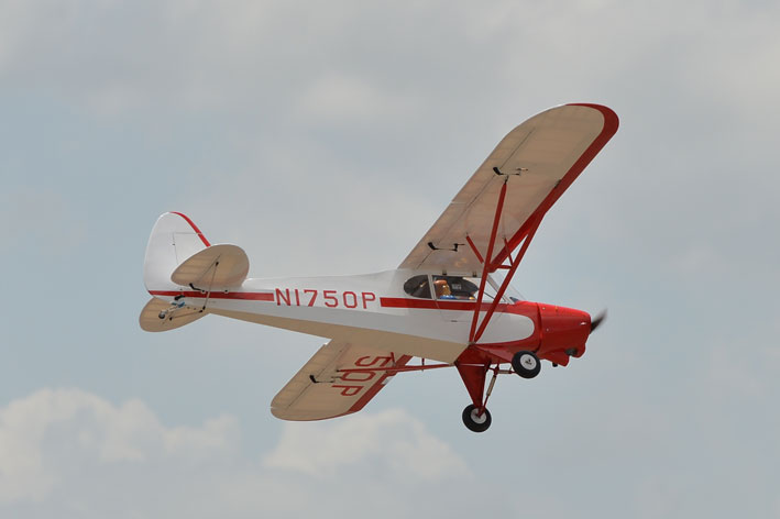 PHOENIX MODEL Super Cub PA-18 Scale 1:4 Size 30cc ARF - Image 5