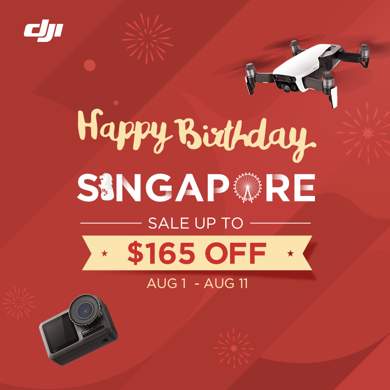 DJI Ronin-S - Image 11