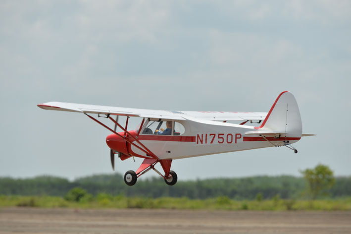 PHOENIX MODEL Super Cub PA-18 Scale 1:4 Size 30cc ARF - Image 8
