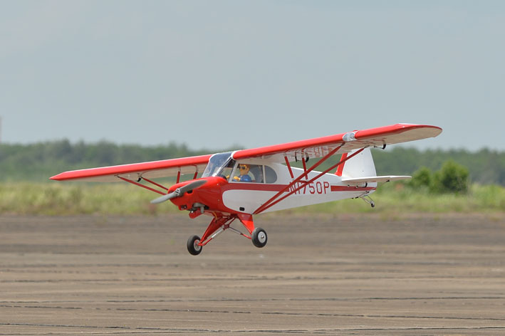 PHOENIX MODEL Super Cub PA-18 Scale 1:4 Size 30cc ARF - Image 9