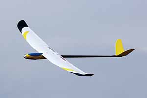 Pilot Chamomile 1.8m Glider DX