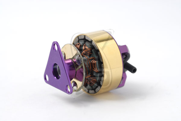 Cyclon Micro Brushless Motor