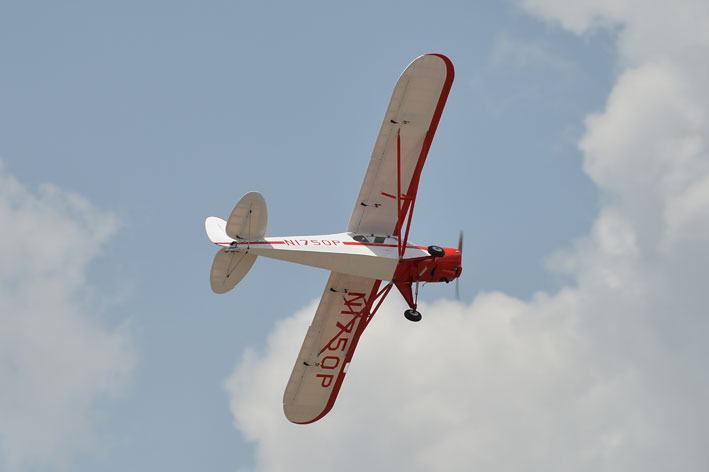 PHOENIX MODEL Super Cub PA-18 Scale 1:4 Size 30cc ARF - Image 6