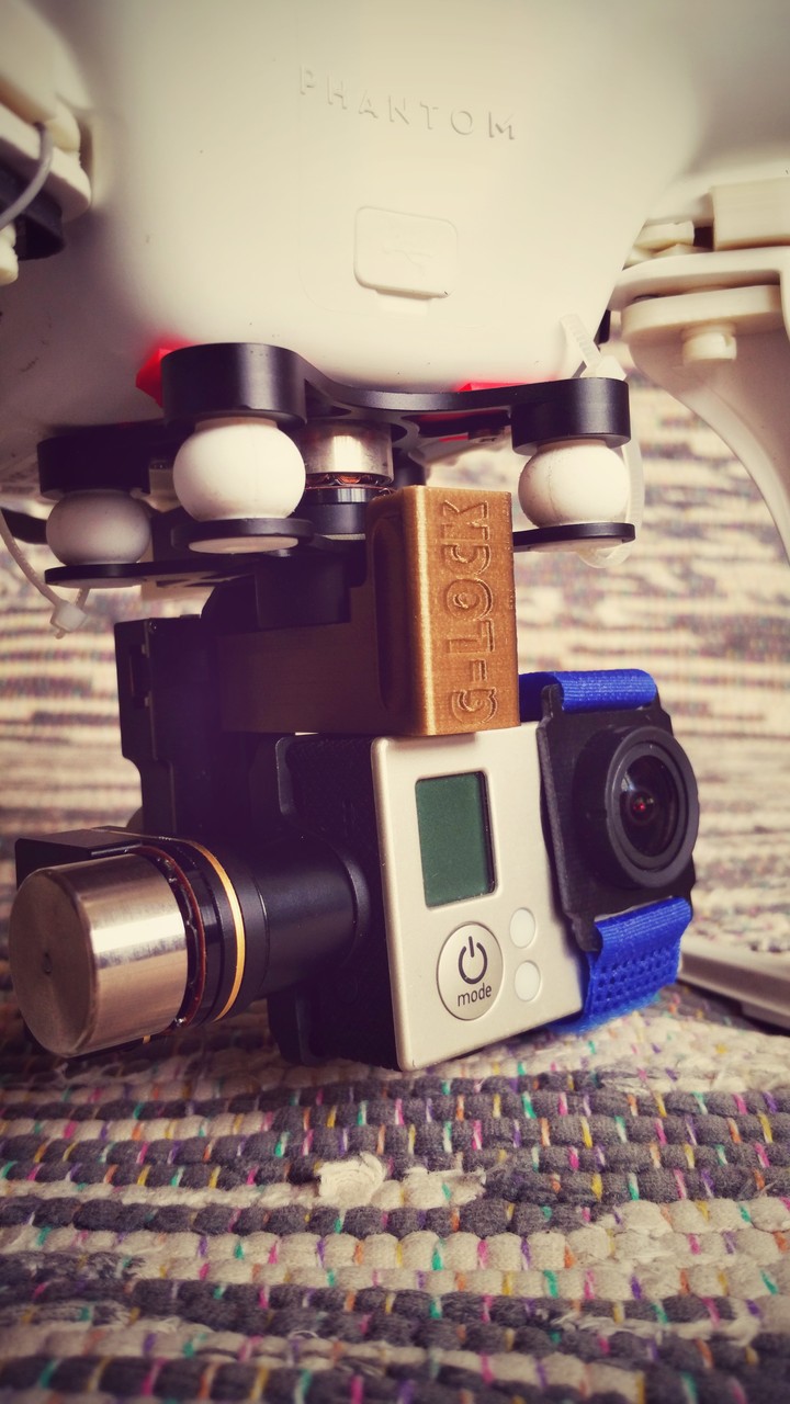 Relish3D Zenmuse Gimbal Lock