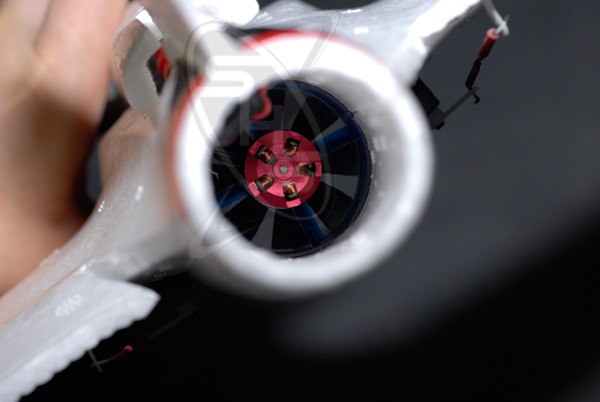 Singahobby Phoenix EDF Jet - Image 5