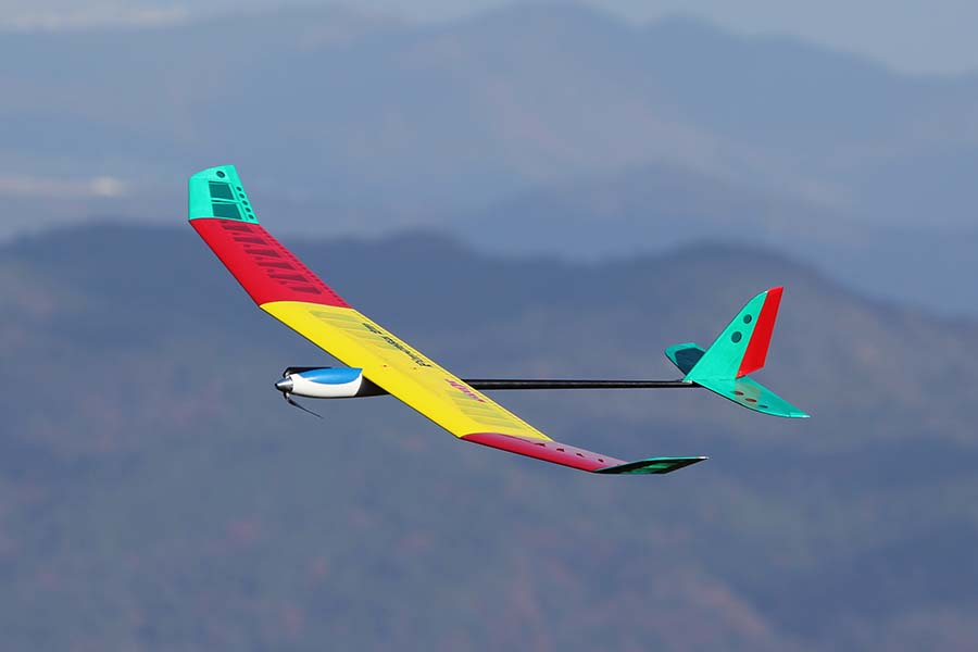 Pilot Pimenta 2m Glider - Image 5