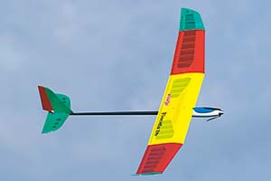 Pilot Pimenta 2m Glider