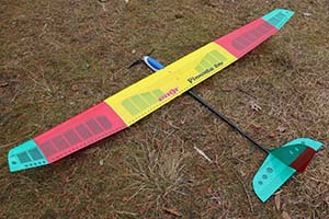 Pilot Pimenta 2m Glider - Image 4