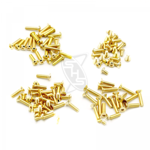 OMG Golden Screw Set for Yokomo SD